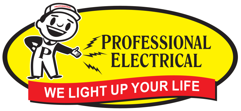 Professional Electrical in Edmonton AB